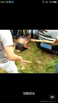屁屁红点成人图片视频,屁屁红点图片视频背后的故事